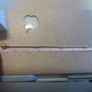 Pandora Charm Bracelet with 14k